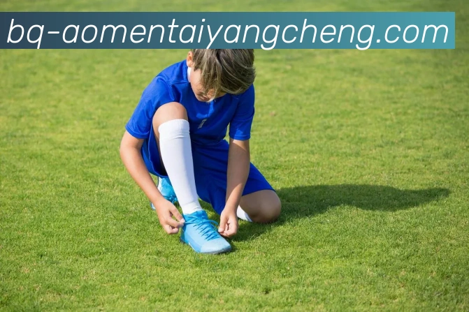 太阳城娱乐平台生态图